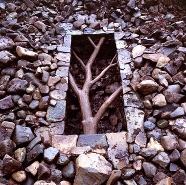 galerie-lelong-andy-goldsworthy1