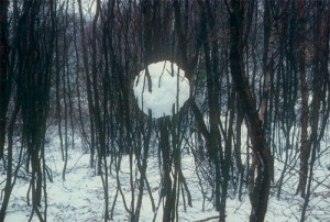 andy_goldsworthy_06